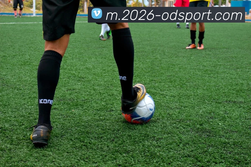 斯基拉透露罗马为切利克提供至2029年合同尤文有意引进球员